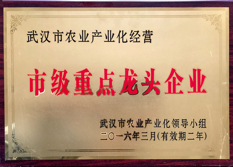 武漢市富楊棉制品有限責(zé)任公司